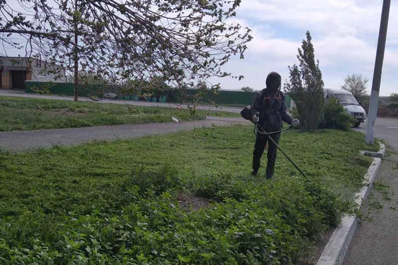 В Новотроицке городские службы не справляются с выкосом травы