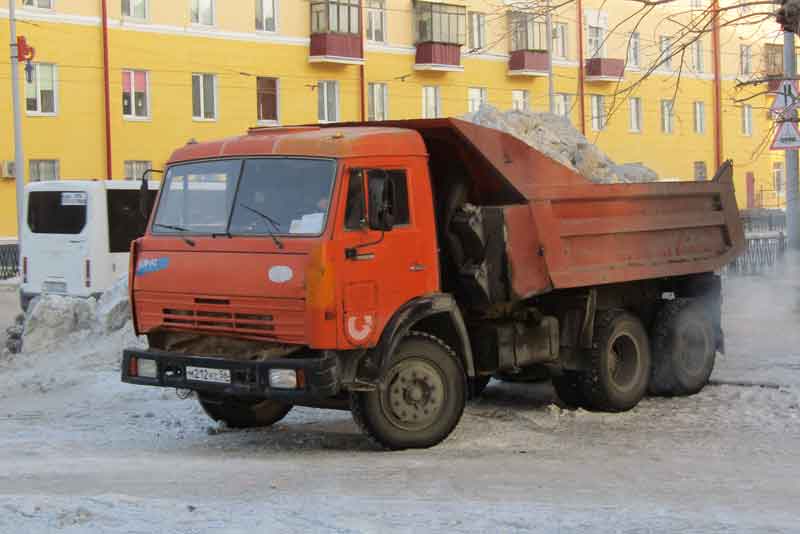 Не только забавы, но и заботы…