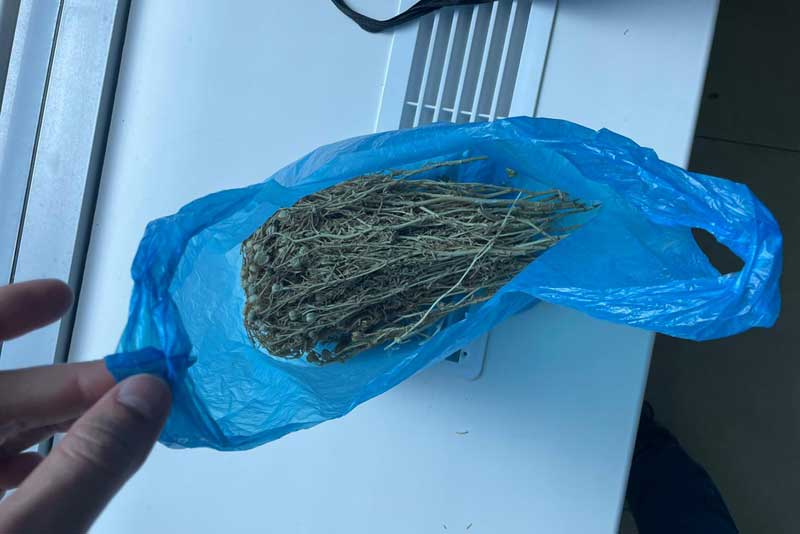 В аэропорту Оренбурга у пассажира таможенники изъяли крупную партию наркотиков