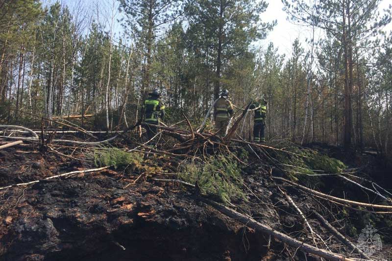 Пожарные из Оренбуржья защищают от огня сёла Винокурова и Ушаровское в Тюменской области