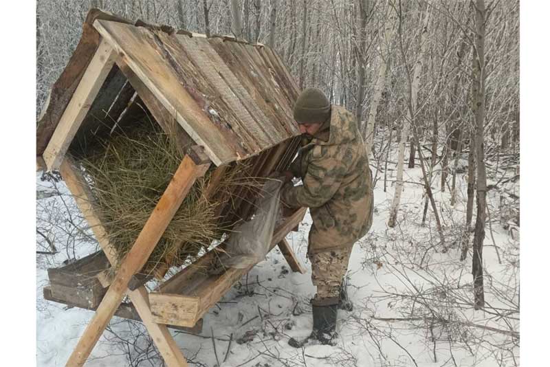 В Оренбуржье организовали зимнюю подкормку лесных животных