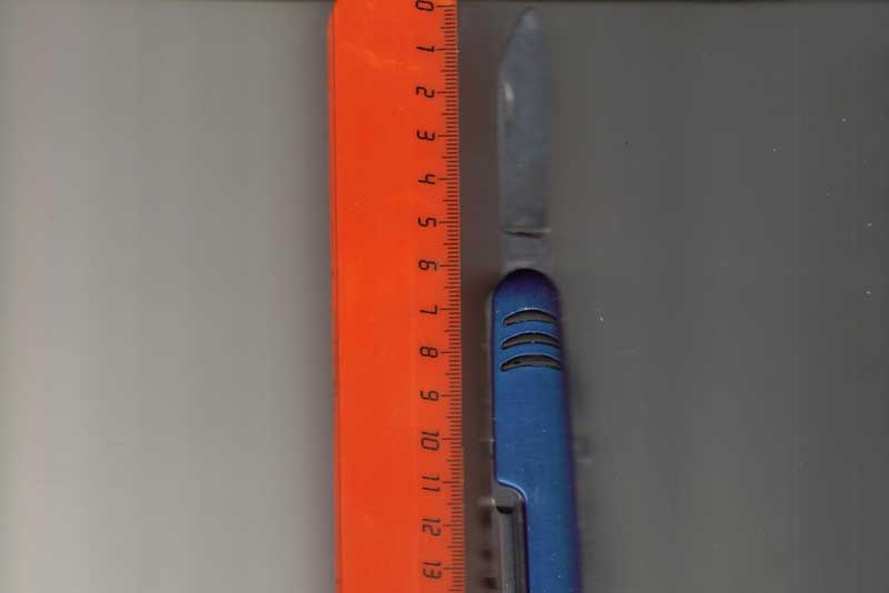 В Оренбуржье пресечено свыше 300 попыток незаконно пронести в здания правоохранительных органов запрещенные предметы