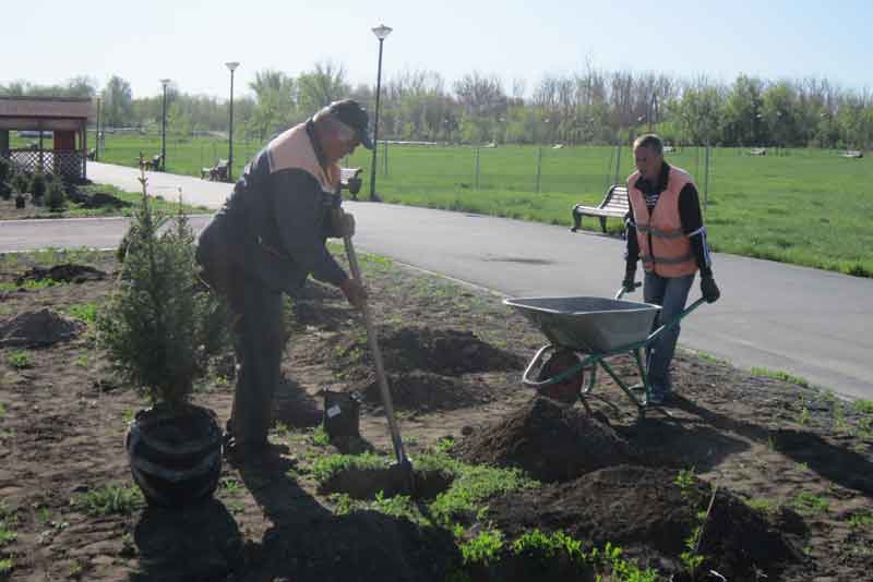 В городском парке, закрытом для посетителей, кипит работа