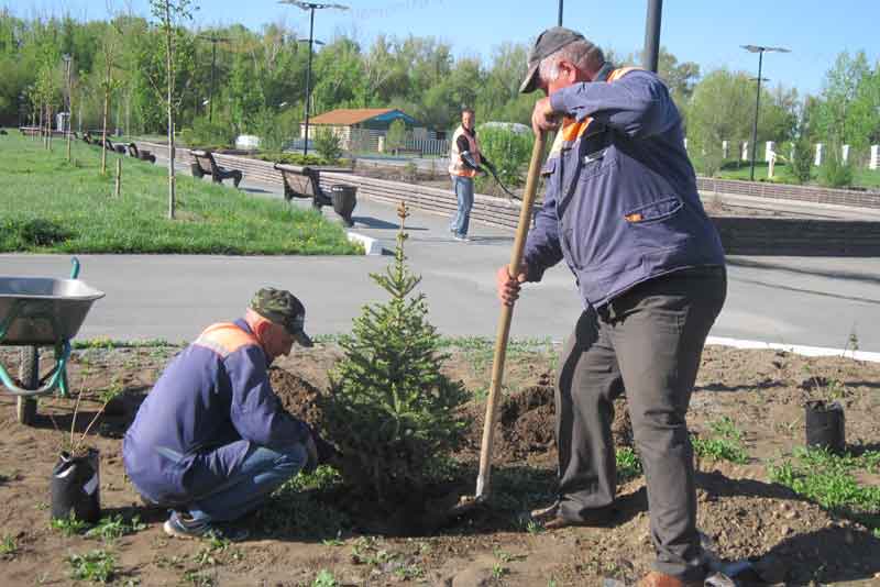 В городском парке, закрытом для посетителей, кипит работа