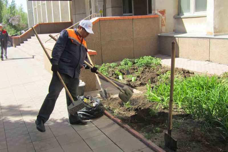  Город украсили розы