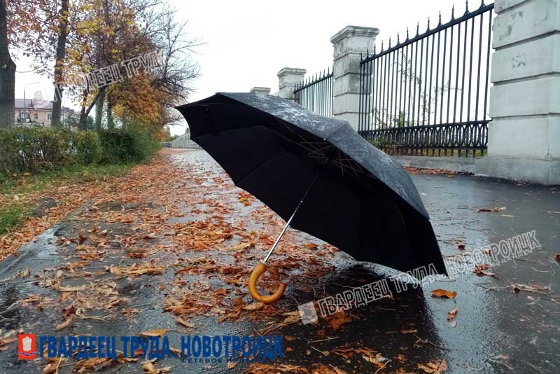 Днём 13 октября в Оренбуржье слабый дождь, ожидается до +15 градусов