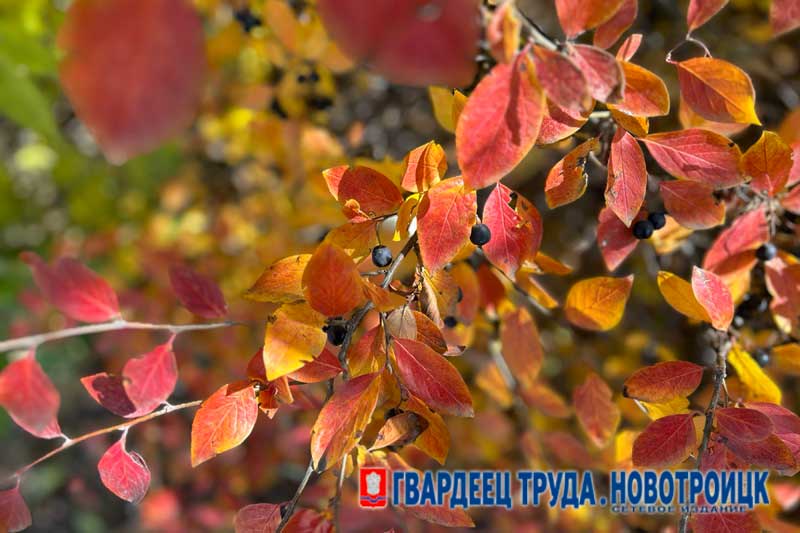 В Оренбуржье днем 13 октября по-прежнему тепло, ожидается до +24 градусов