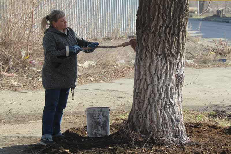 Все на уборку! В Новотроицке стартовал  общегородской субботник