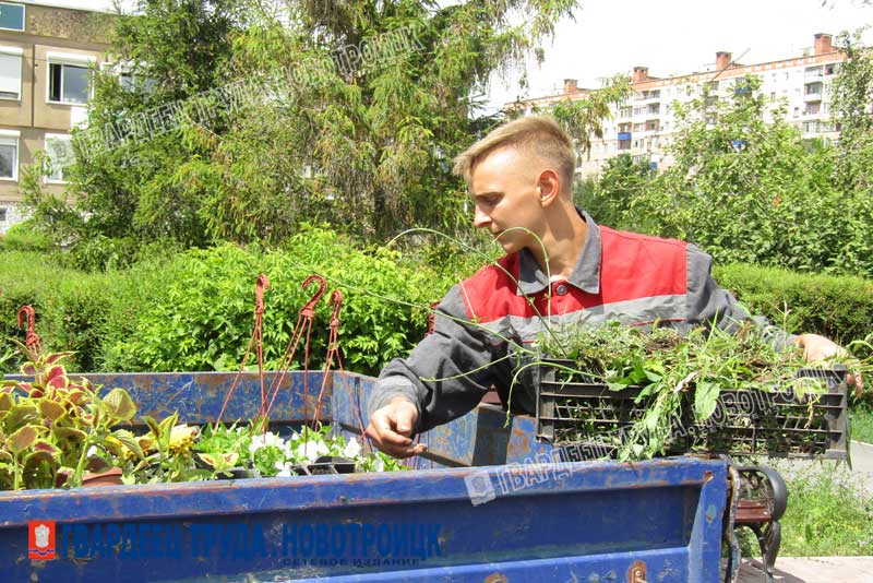 Чтобы городские цветы радовали…