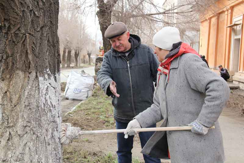 Горожан призывают выйти на субботники