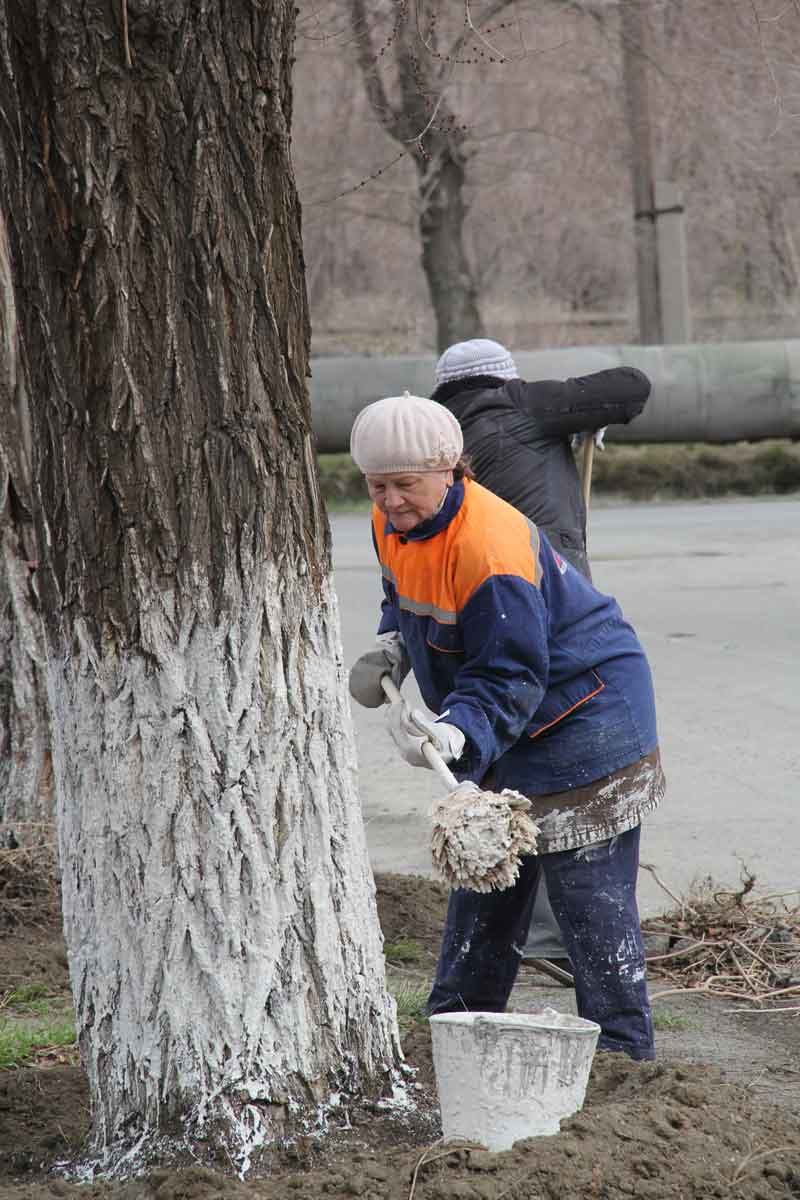 Горожан призывают выйти на субботники