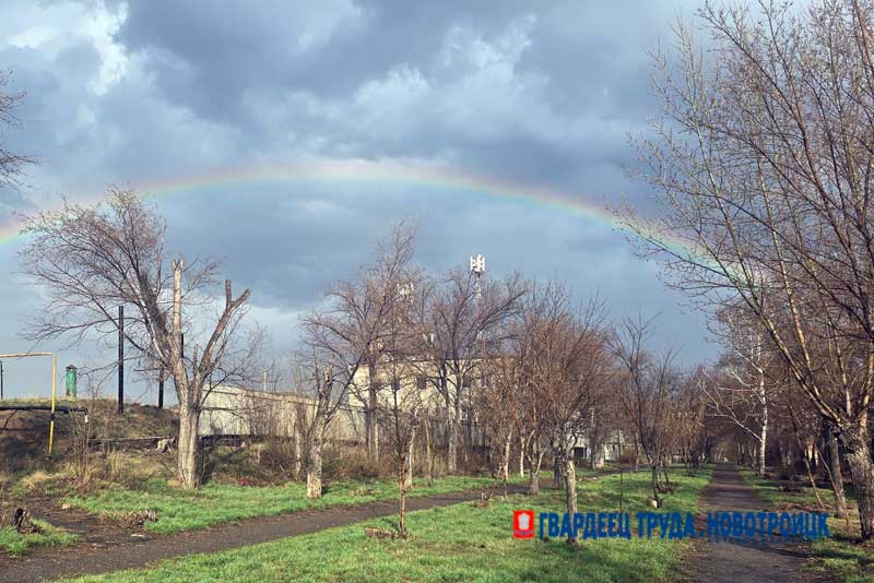 В Оренбуржье днем 15 апреля возможен дождь и штормовой ветер, потеплеет до +22 градусов