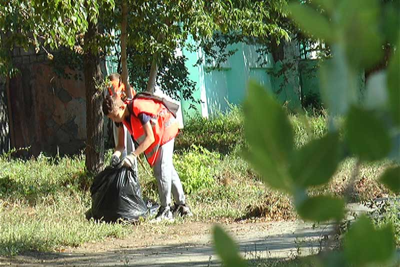 Трудятся на благоустройстве дворов