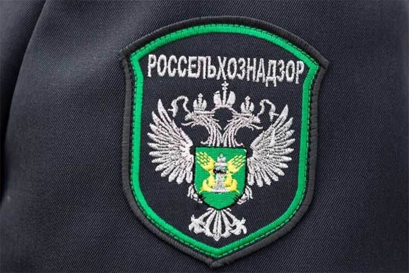 Через Оренбуржье  незаконно пытались вывезти табун лошадей
