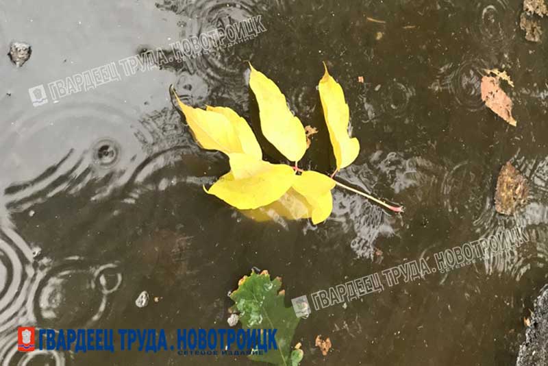 В Оренбуржье днём 15 октября дождь и до + 17 градусов