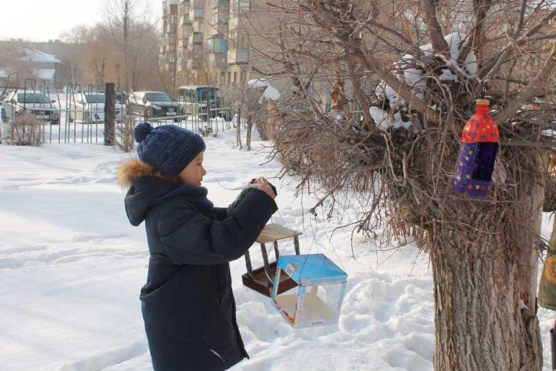 Поможем птицам