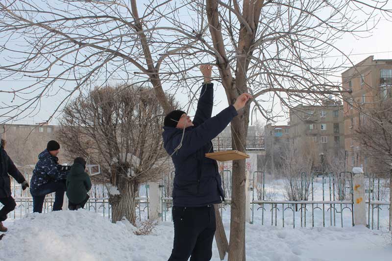 Поможем птицам