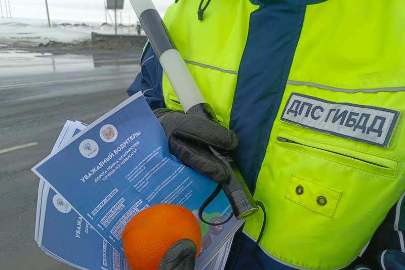Необычную профилактическую акцию на федеральной трассе провели сотрудники полиции