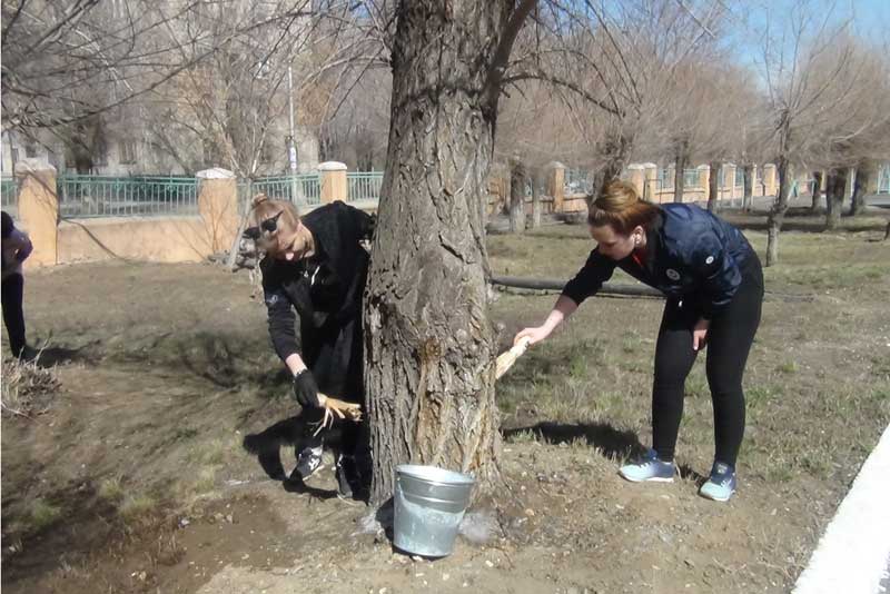 Пример подают студенты