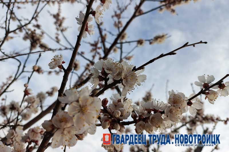 В Оренбуржье днем 17 апреля прохладно и солнечно, температура до +17 градусов