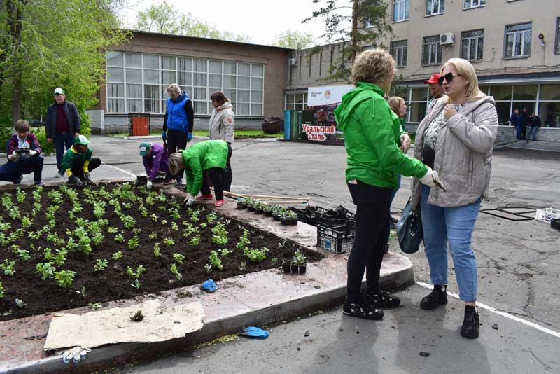 Более 500 цветочных кустов высадили металлурги-волонтеры в ходе экологического  субботника