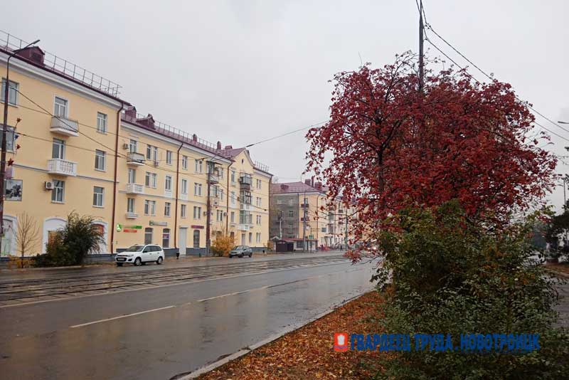 Днём 17 октября в Оренбуржье туман, дождь и ветер, ожидается от +5 до + 10 градусов