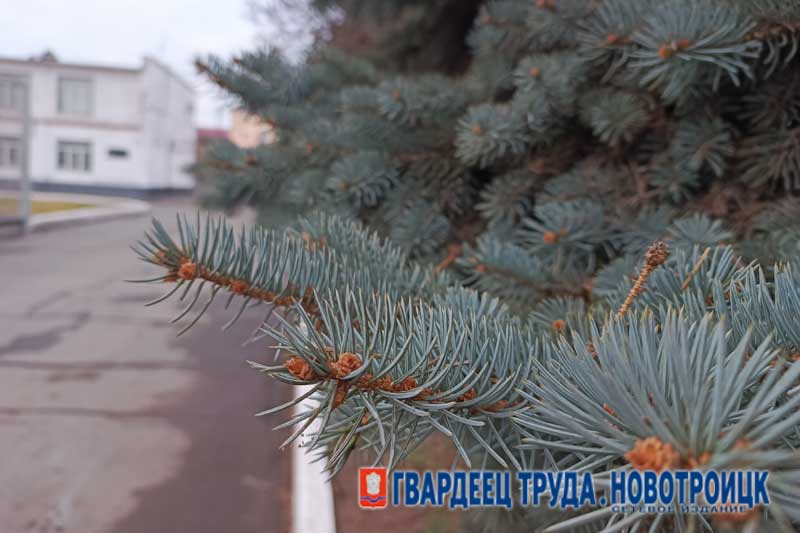 В Оренбуржье днем 17 ноября тихо и без осадков, ожидается до +5 градусов