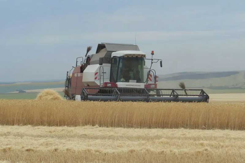 В бюджете Оренбургской области на 2026 год увеличат средства на поддержку малого агробизнеса