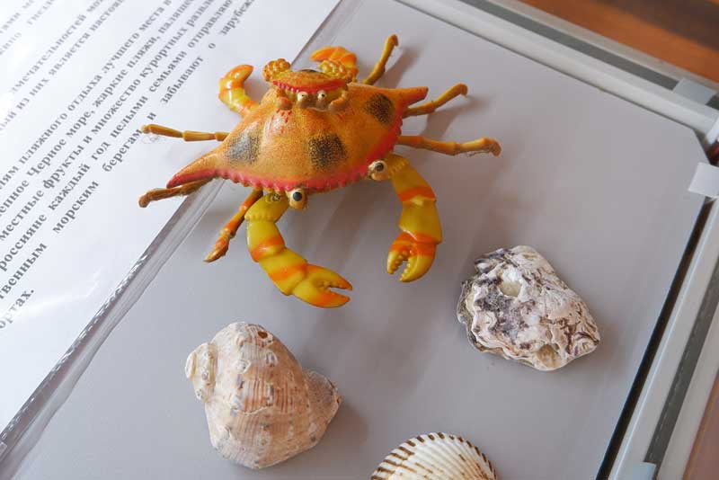 В Новотроицком музее зрителям представляют выставку «Крым – частица России» (6+)