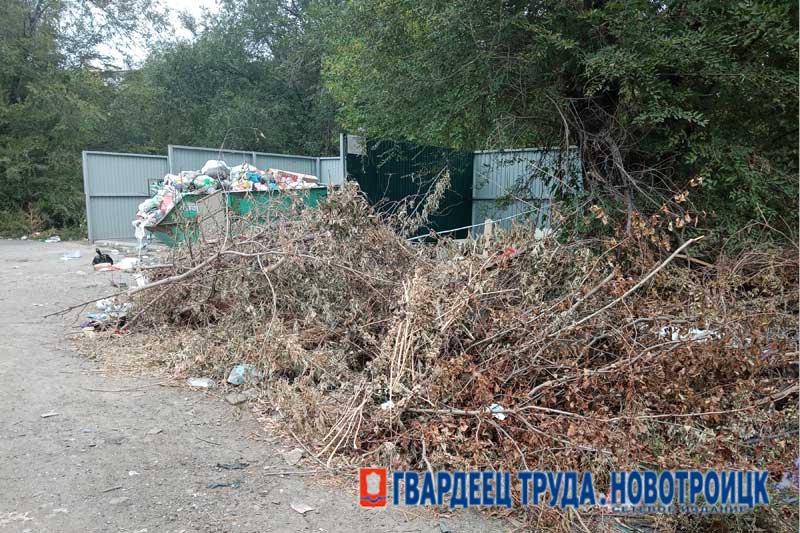 Глава Новотроицка Денис Меньшиков считает, что управляющие компании должны нести ответственность за соблюдение порядка на контейнерных площадках