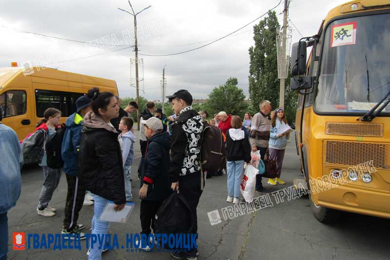 На две недели в «Чайку»