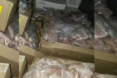 Через Оренбуржье без ветеринарных сопроводительных документов пытались провезти в Казахстан партию мясных полуфабрикатов