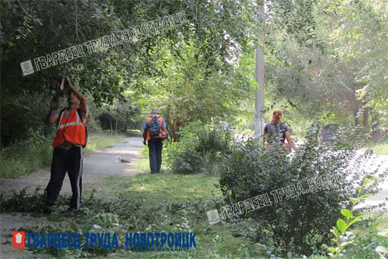 Необходима общая городская программа озеленения