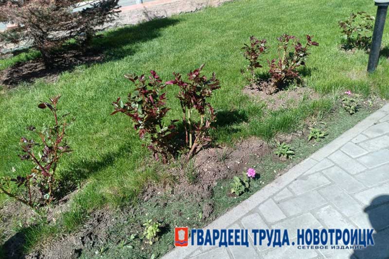 В Благовещенском храме Новотроицка в канун Дня семьи, любви и верности откроют Семейный сквер