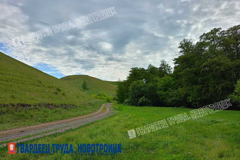 Днём 20 июня в Оренбуржье ожидаются ливни, град и до +22 градусов