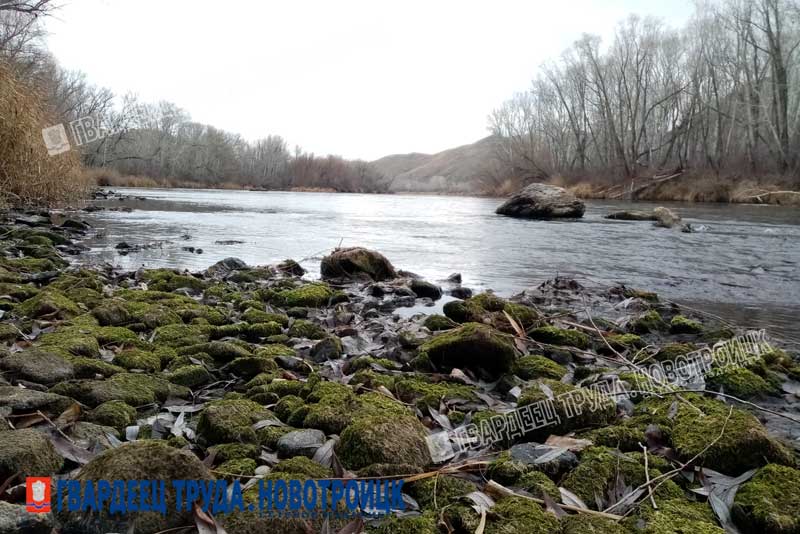 Днем 20 ноября в Оренбуржье дождь, снег, гололедица и до +3 градусов