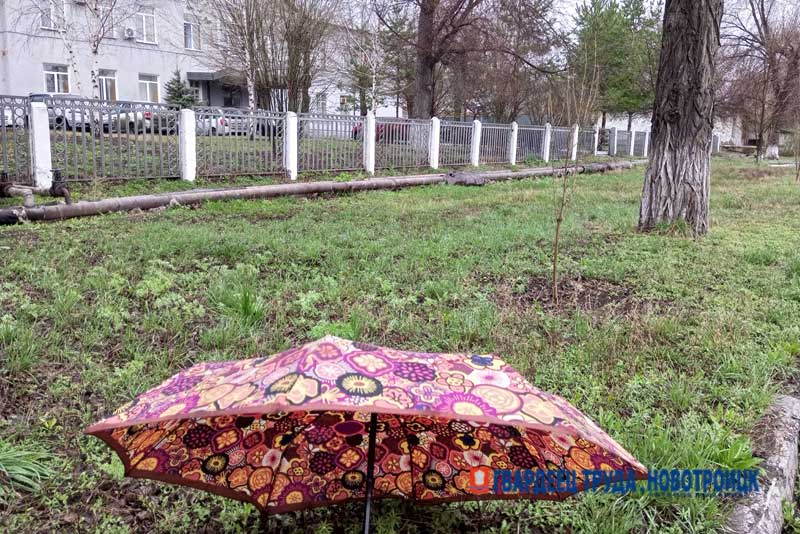 Днем 21 апреля в Оренбуржье дождь и ветер, ожидается от +7 до +19 градусов