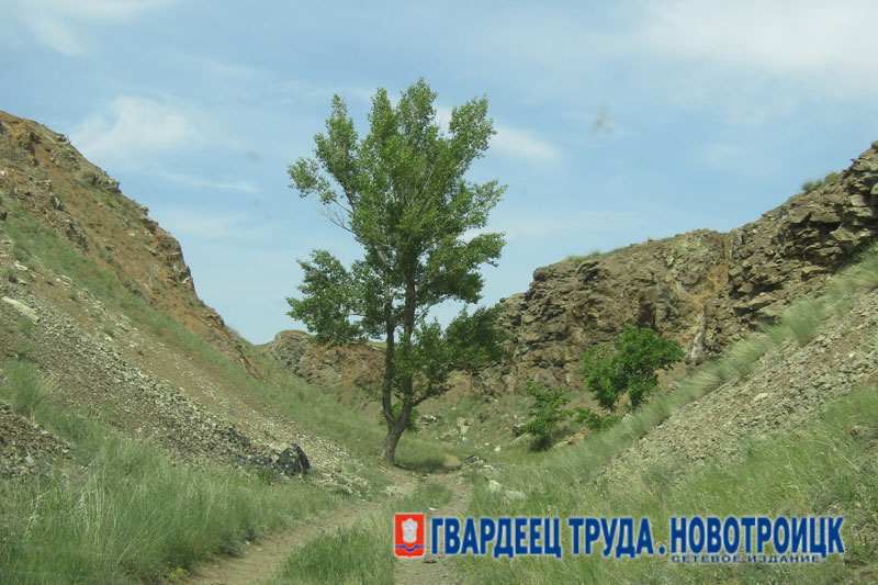 В Оренбуржье днем 21 июля ожидается дождь и до +30 градусов
