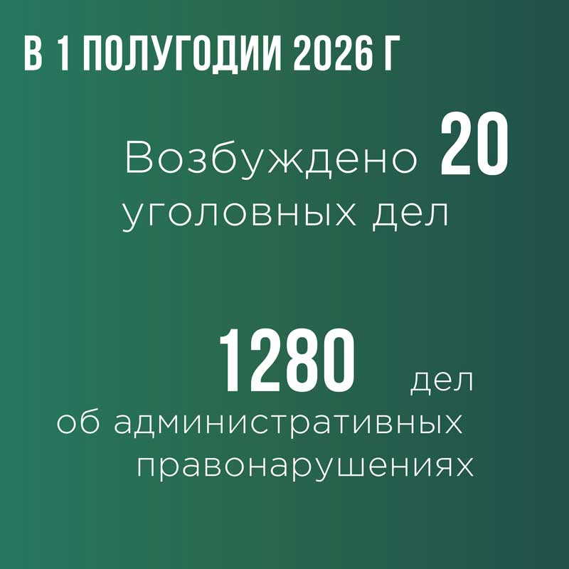 Самарская таможня, в регион деятельности которой входит Оренбургская область, подвела итоги первого полугодия