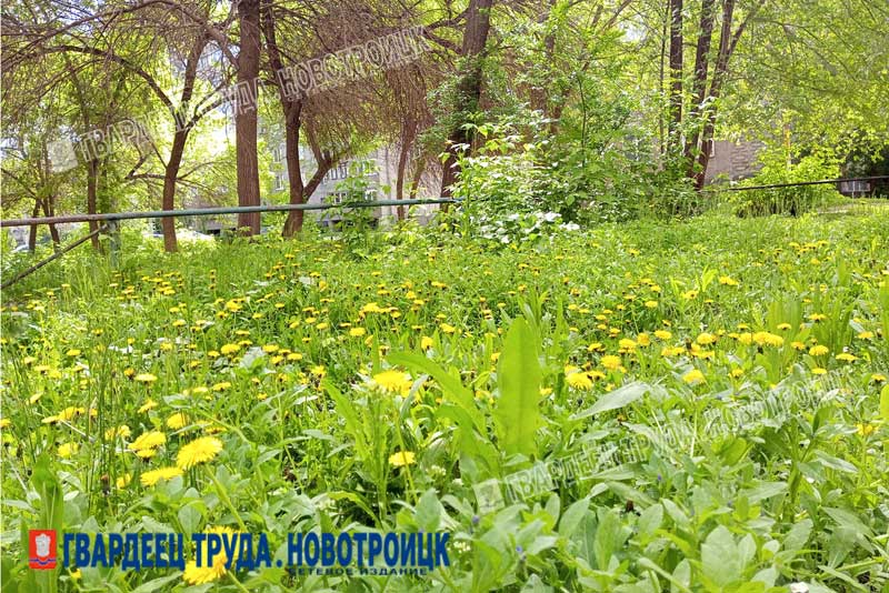 В Оренбуржье днем, 22 мая, ожидается дождь, гроза и до +25 градусов. Возможен град