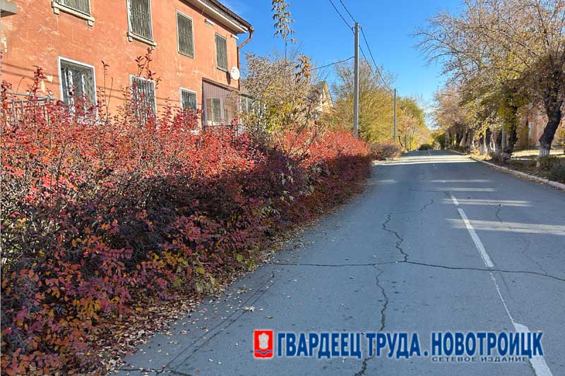 Днём 22 октября в Оренбуржье воздух прогреется до +10 градусов