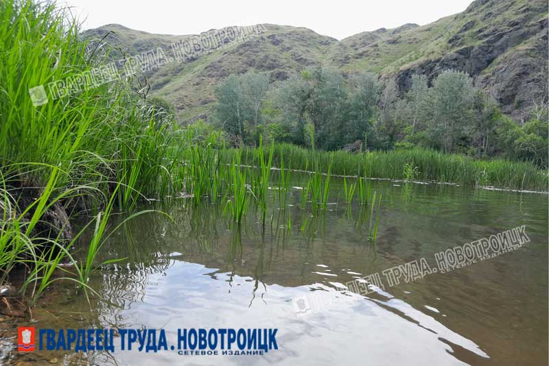 В ОРЕНБУРЖЬЕ С НАЧАЛА ГОДА НА ВОДЕ ПОГИБЛО 44 ЧЕЛОВЕКА