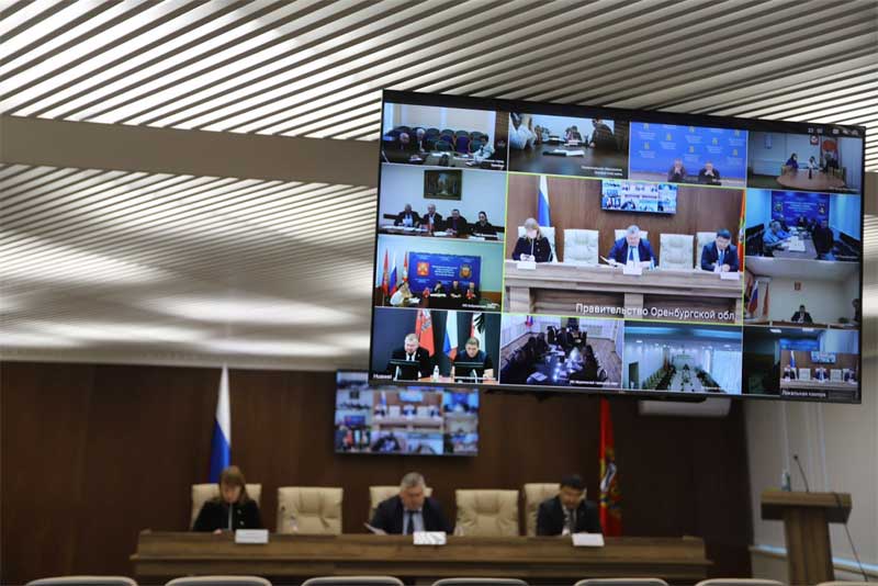 В правительстве Оренбуржья обеспокоены сложившейся ситуацией по обращению с безнадзорными животными