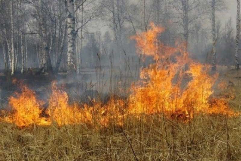 В ОРЕНБУРГСКОЙ ОБЛАСТИ 23 АВГУСТА ПРОГНОЗИРУЮТ САМЫЙ ВЫСОКИЙ КЛАСС ПОЖАРНОЙ ОПАСНОСТИ