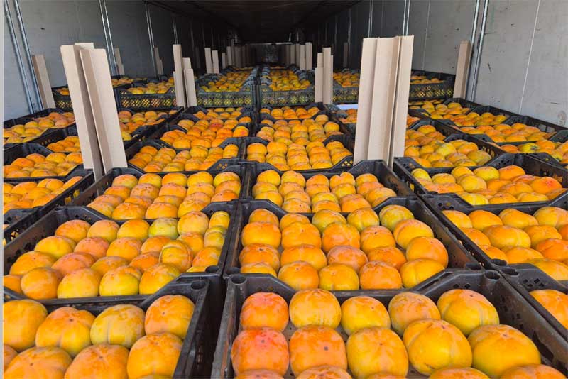 В Оренбуржье предотвратили ввоз более 65 тонн недоброкачественной продукции из Узбекистана
