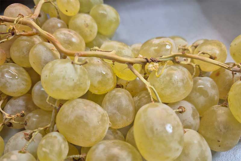 В Оренбуржье предотвратили ввоз более 65 тонн недоброкачественной продукции из Узбекистана