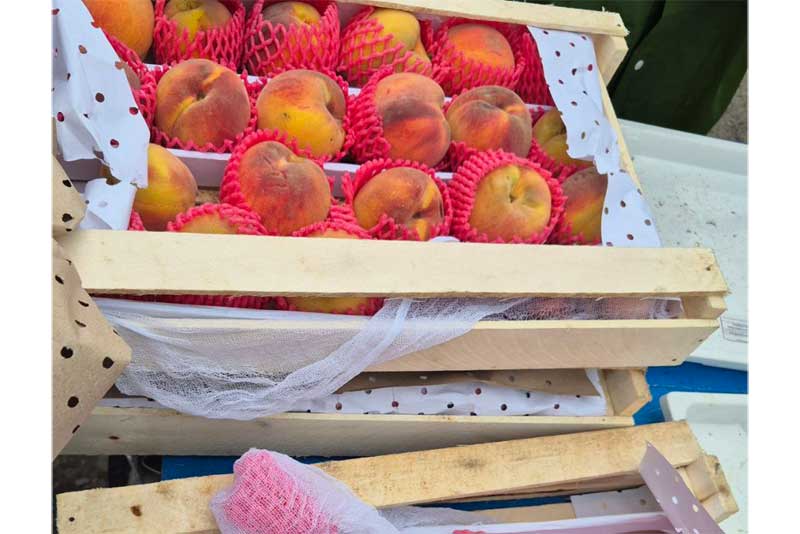 В Оренбуржье предотвратили ввоз более 65 тонн недоброкачественной продукции из Узбекистана
