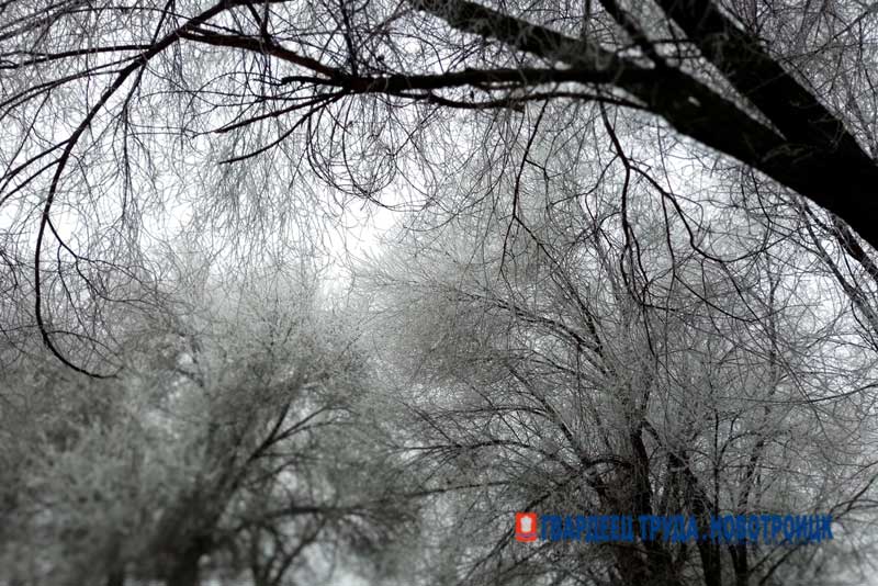 В Оренбуржье уже 24 декабря температура воздуха опустится до -30 градусов