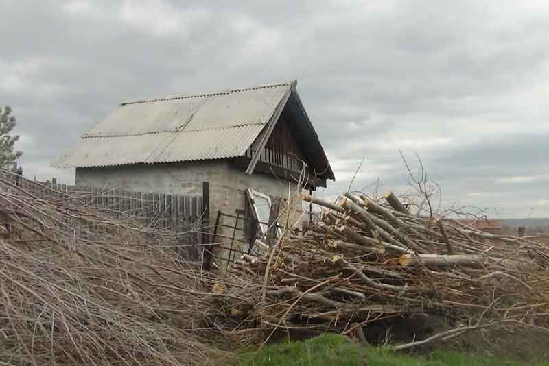 Проверка на готовность (фото)