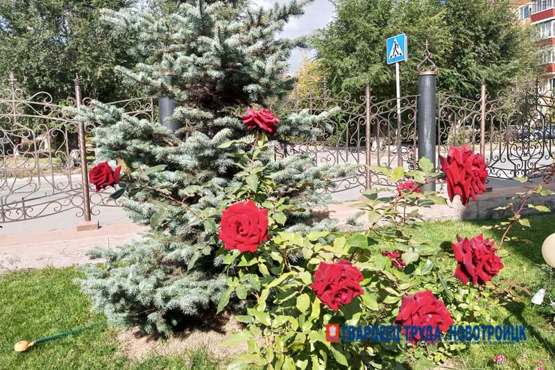В Оренбуржье днем 24 августа будет теплая, комфортная погода и до +31 градуса
